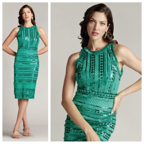 Tadashi Shoji Dresses & Skirts - NWT Tadashi Shoji Norma Round Neck Sleeveless Sequin Fringe A-Line Midi …